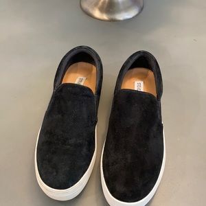 Steve Madden Gills Black Suede Sneaker